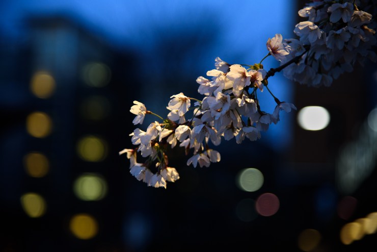 1/125 sec @ f/4 ISO 800 120mm