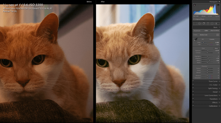 Screen Shot 2020-05-10 at 8.54.02 PM.png