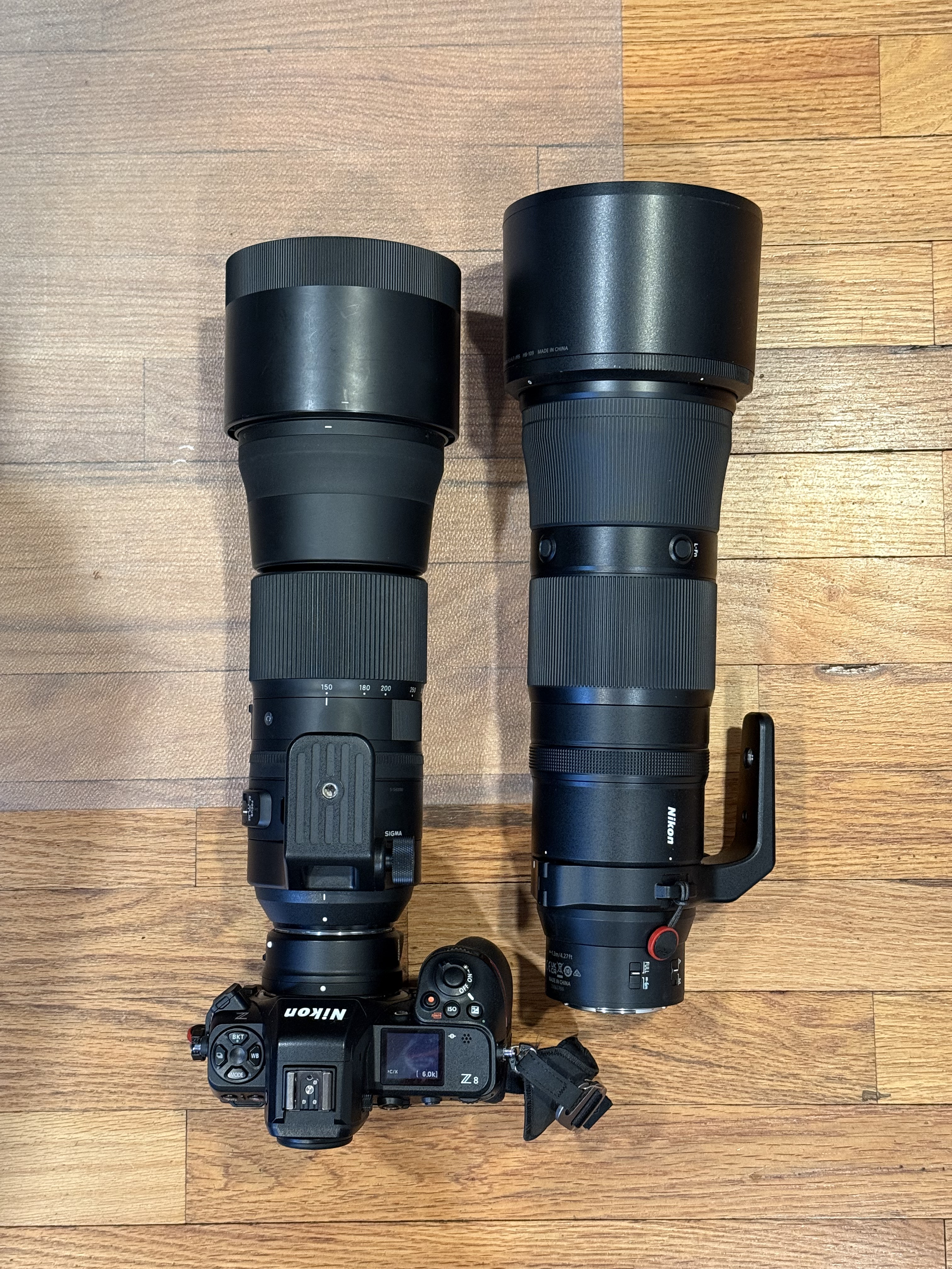 Nikon Z 180-600mm f/5.6 – 6.3 VR Review – Relatively Ambitious